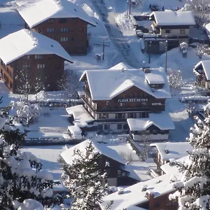 3* Hotel Fleur Des Neiges
